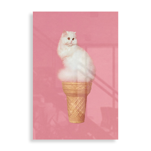 Ice Cream cat
