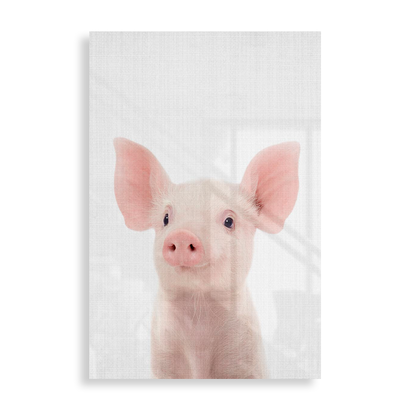 Sød griseunge