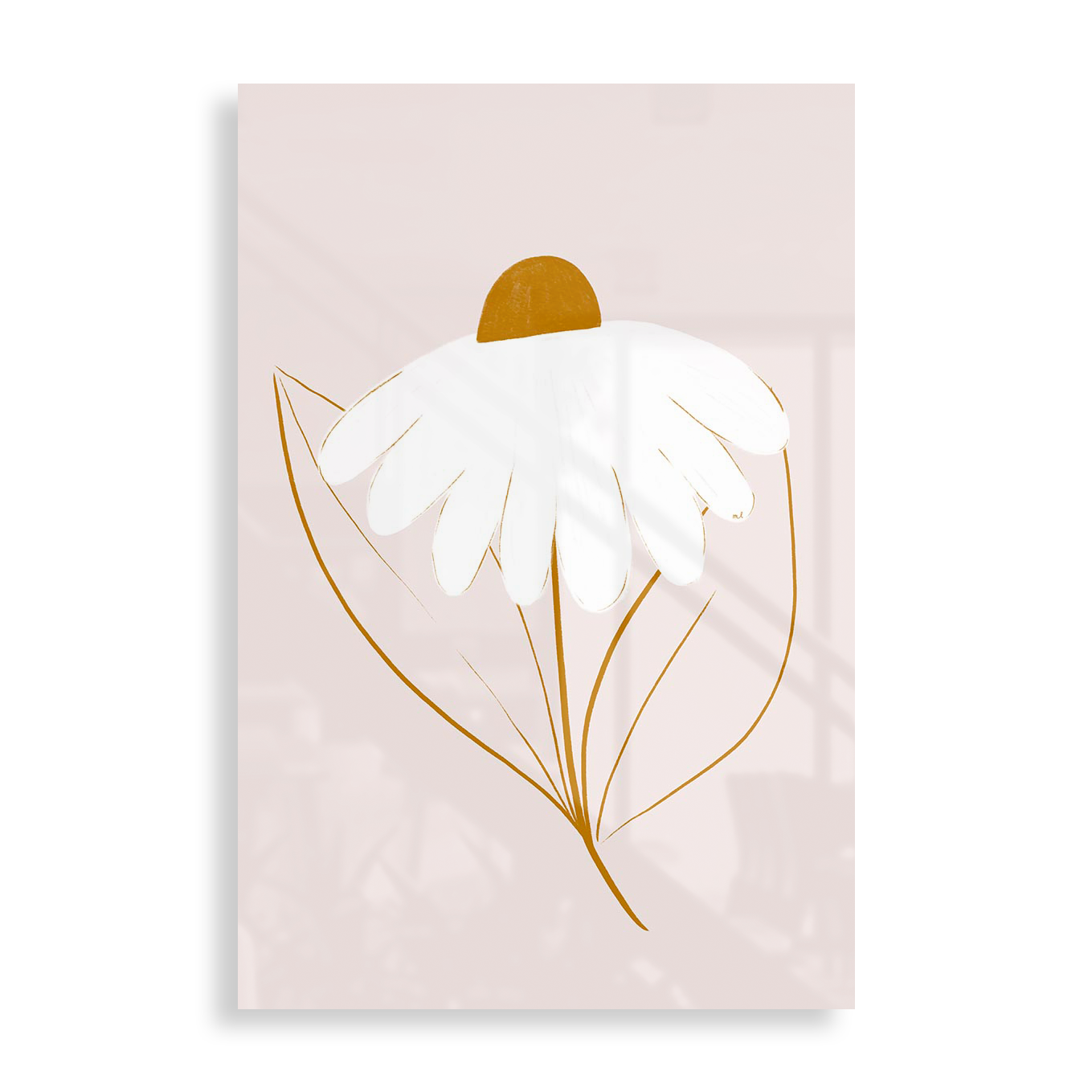 Hvid marguerit
