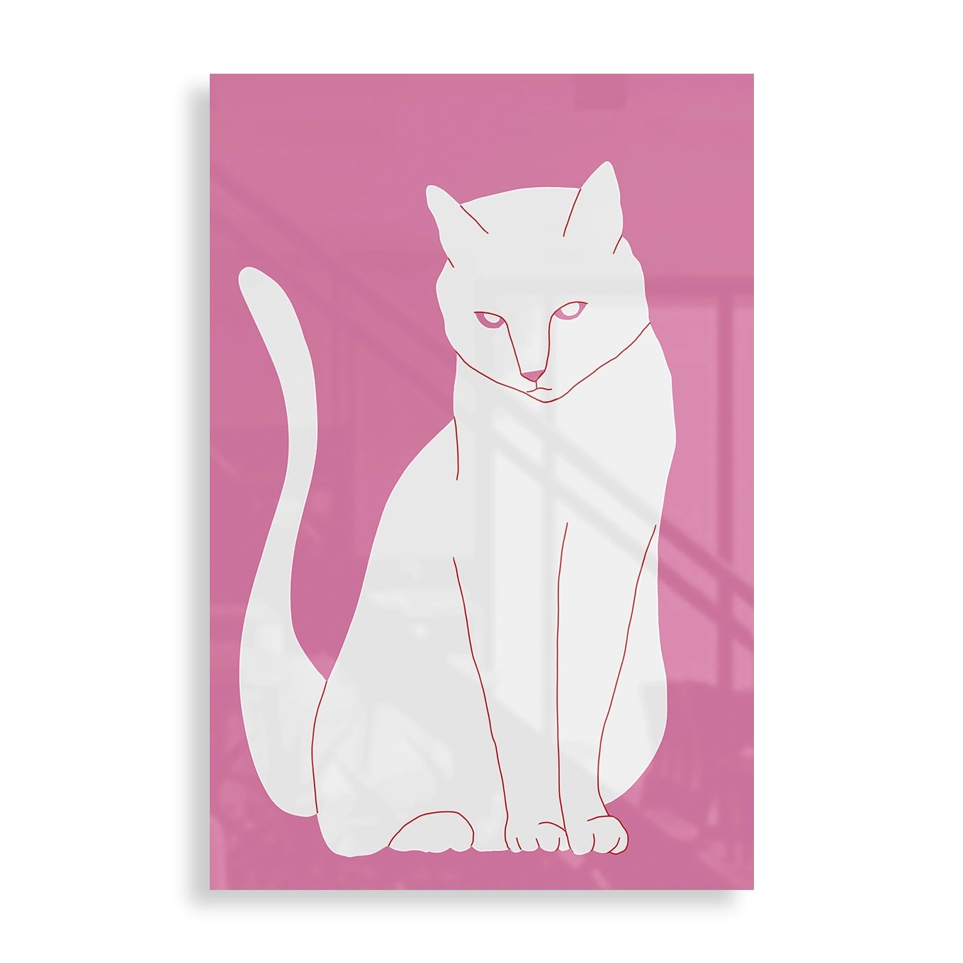 White and pink cat