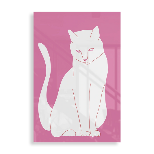 White and pink cat
