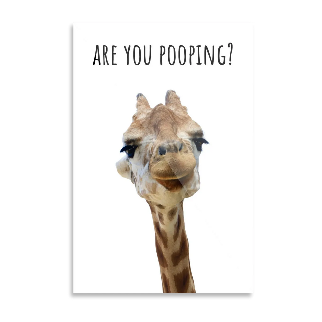 Are you pooping?