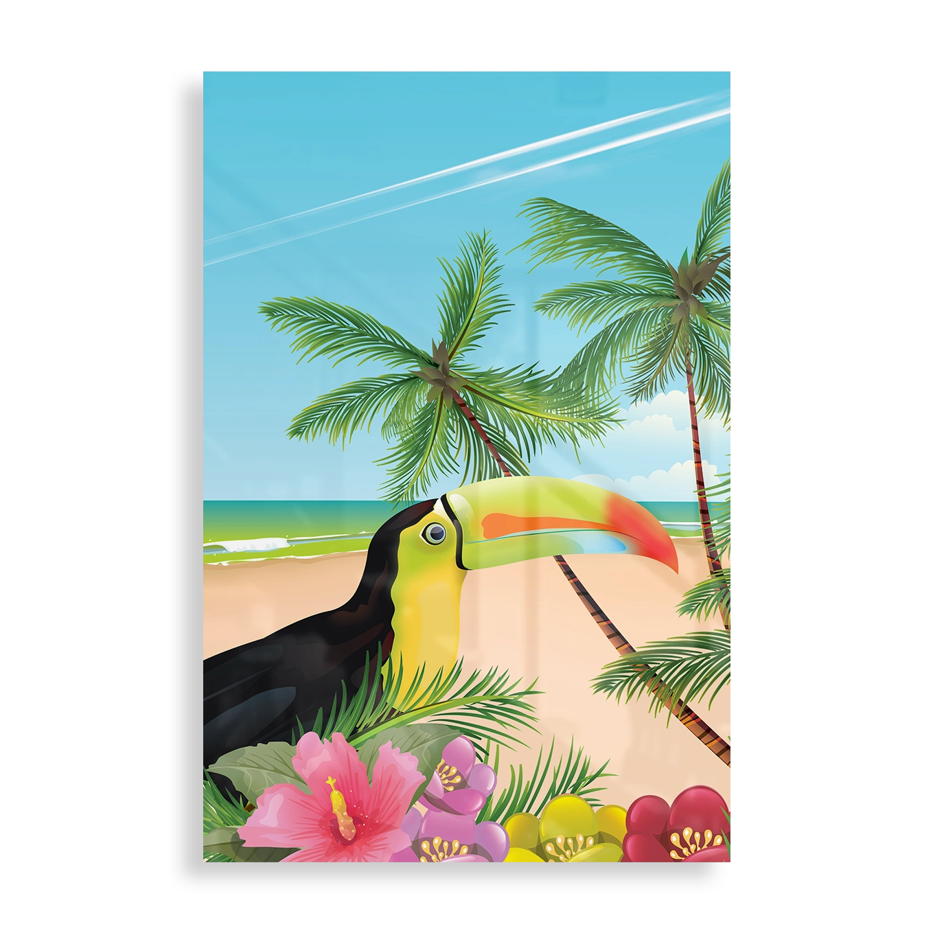 Toucan on a Beach
