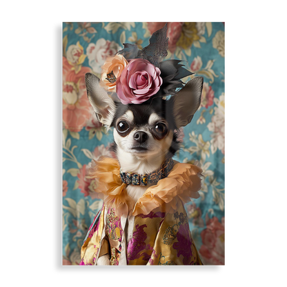 Hertuginde Chihuahua