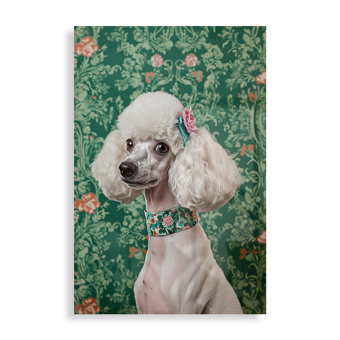 Lady Poodle