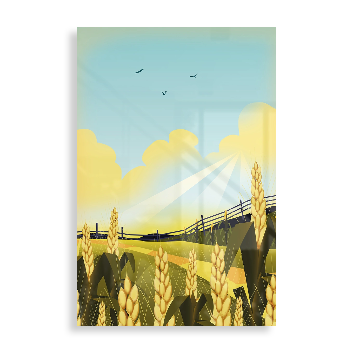 Kansas Farm