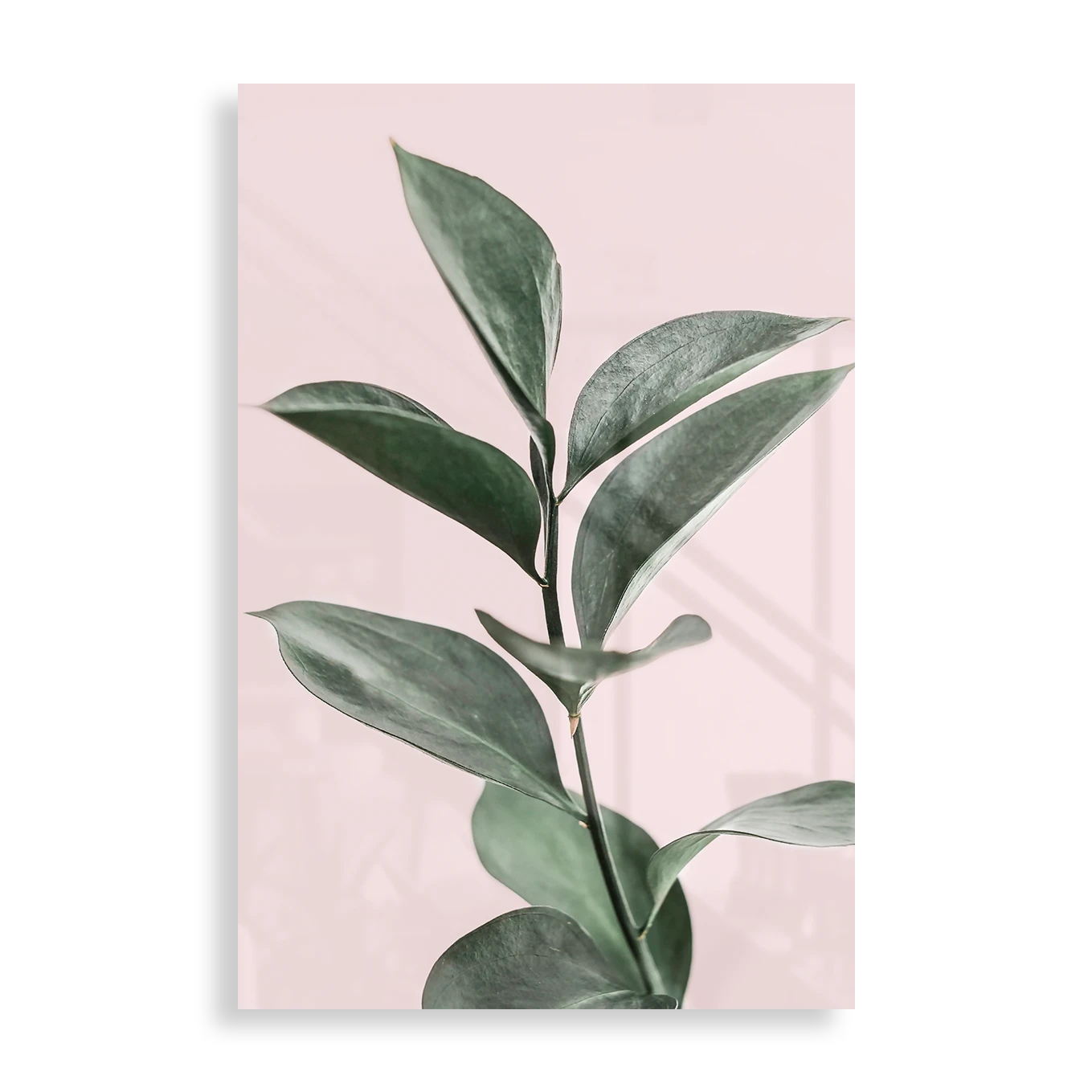 Simple plant