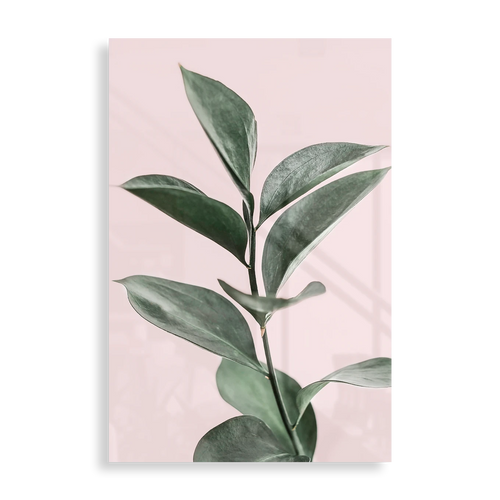 Simple plant