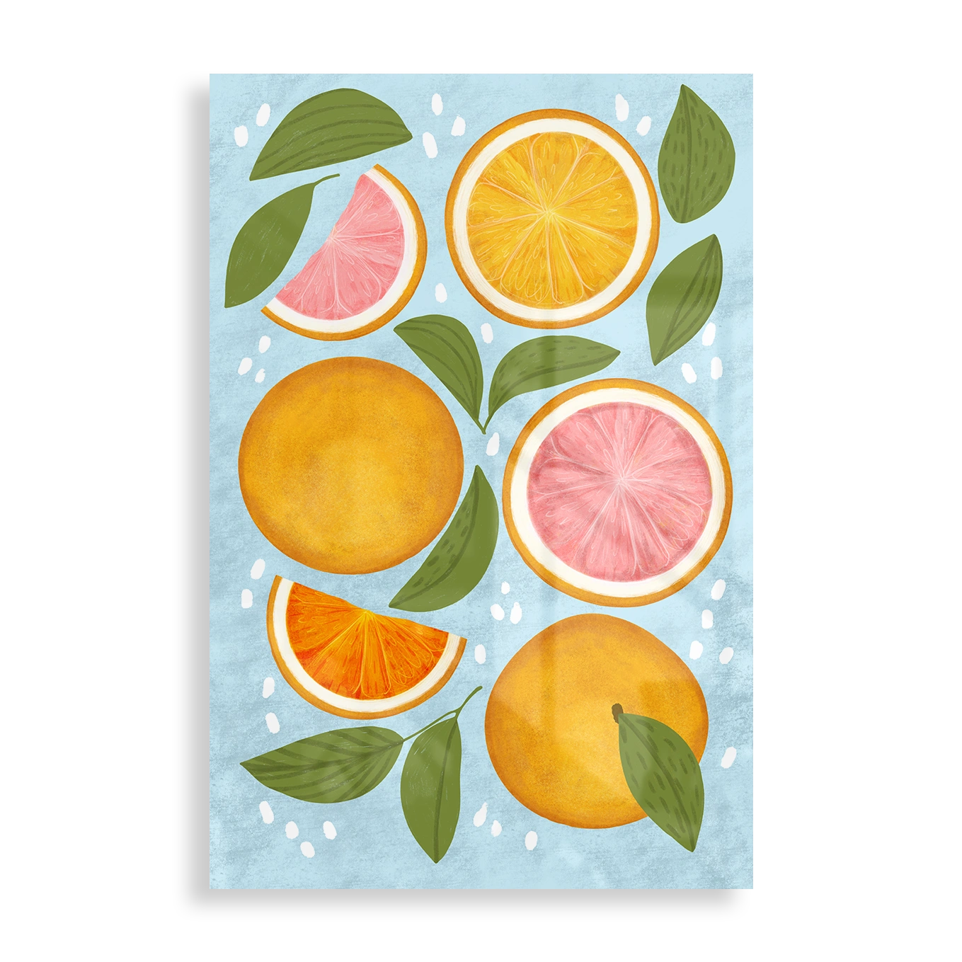 Citrus Energy