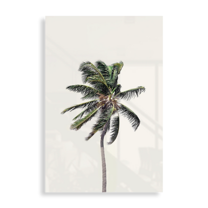 Windy Palm Tree