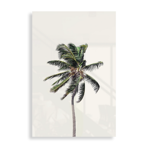 Windy Palm Tree