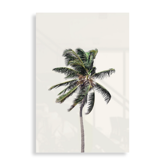 Windy Palm Tree