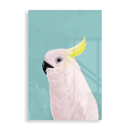 Cockatoo