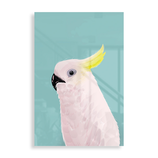 Cockatoo