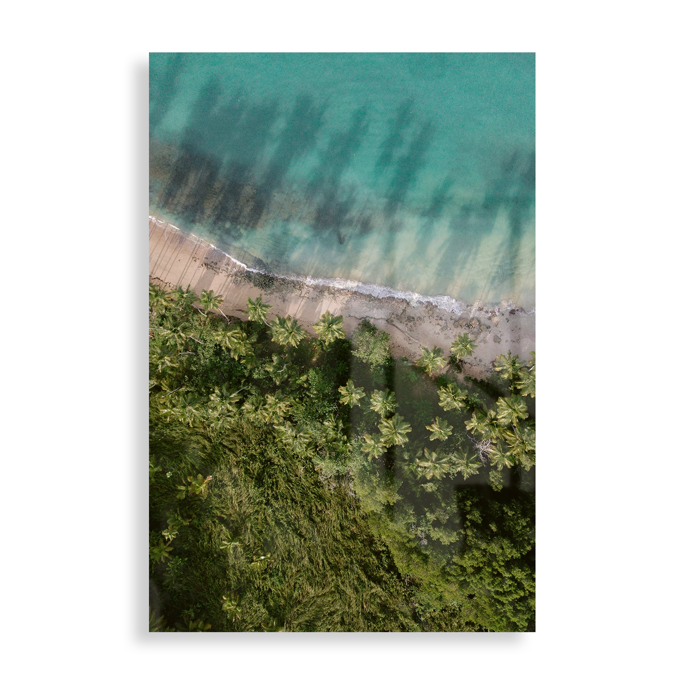 Palm Beach from above
