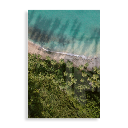 Palm Beach from above
