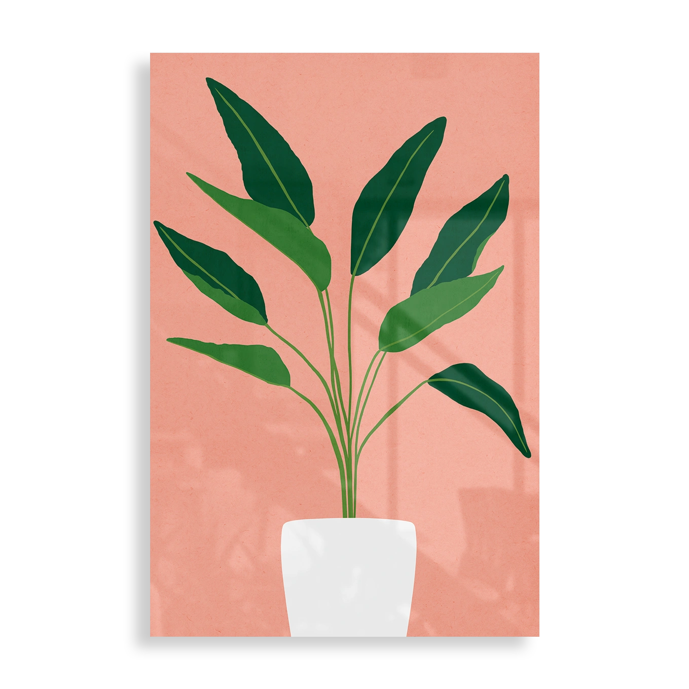 Plante