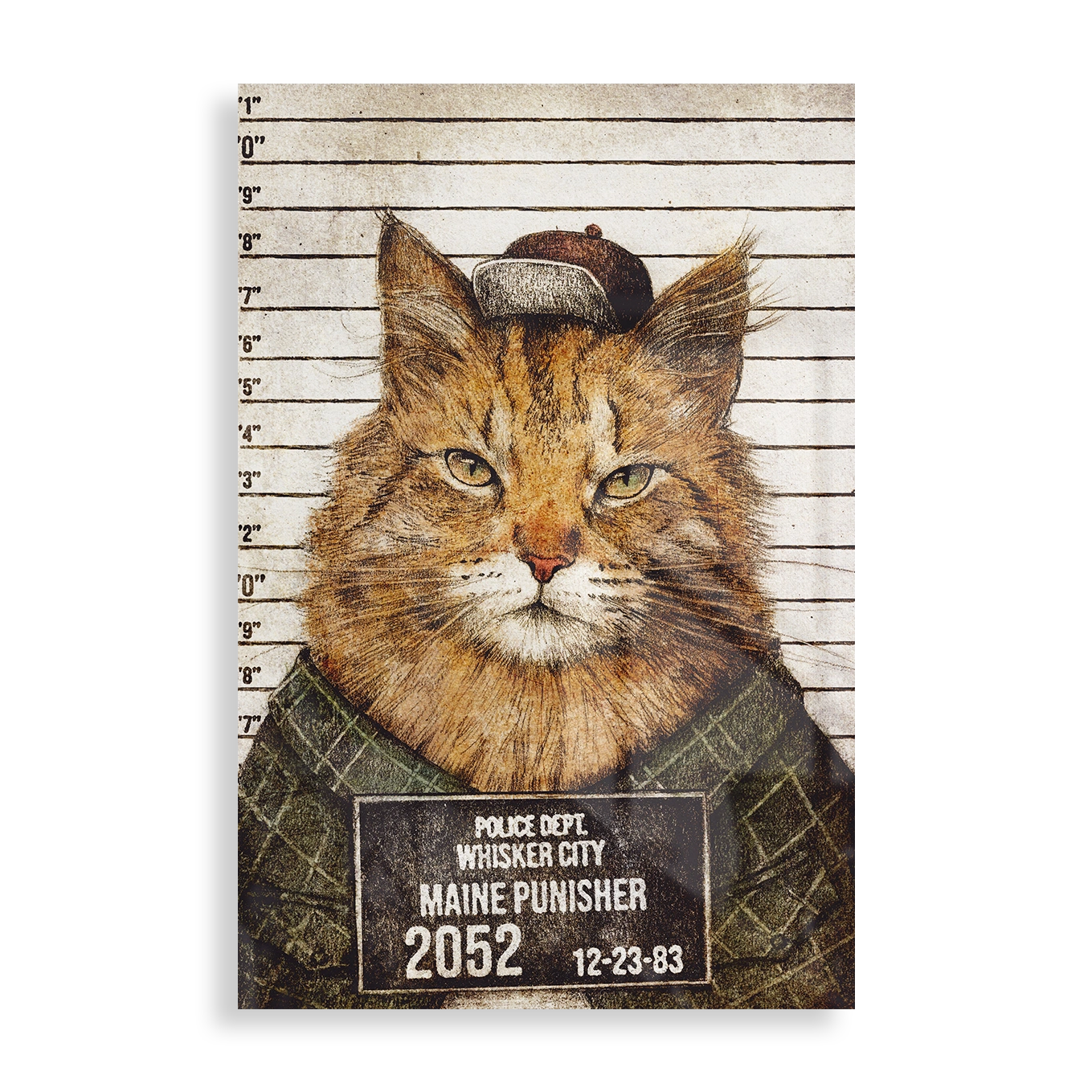 Maine Punisher arrested