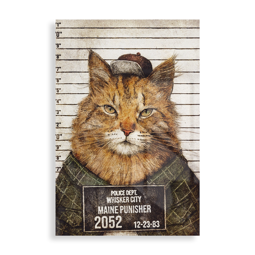 Maine Punisher arrested