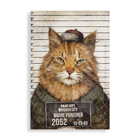 Maine Punisher arrested