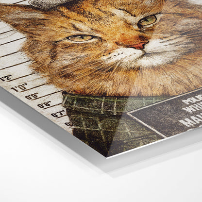 Maine Punisher arrested