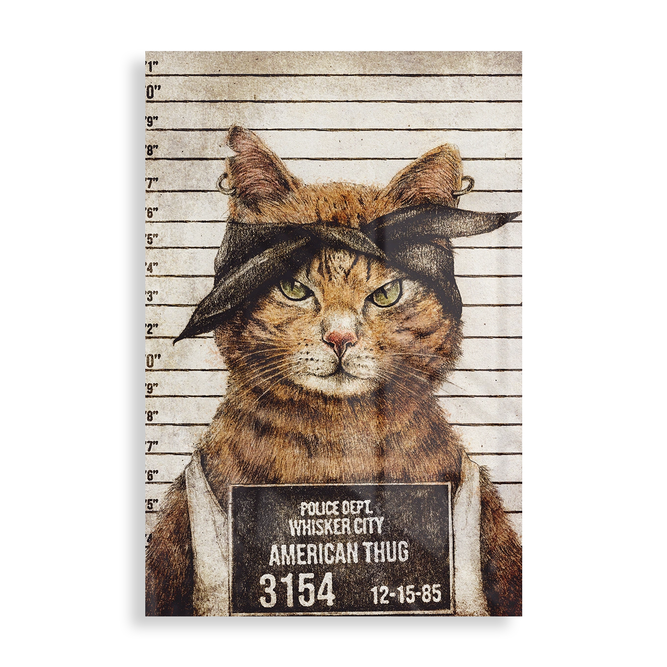 American Thug arrested