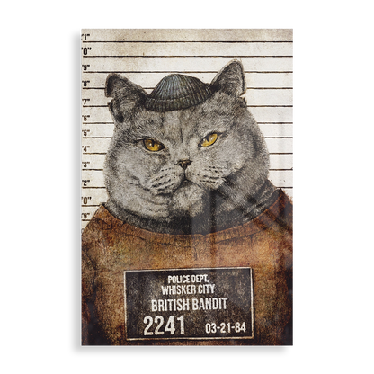 British Bandit arrested