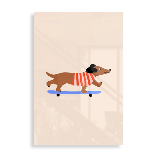 Dachshund on Skateboard