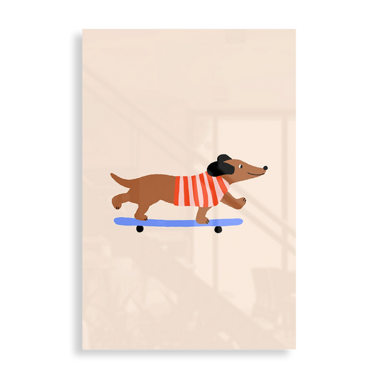 Dachshund on Skateboard