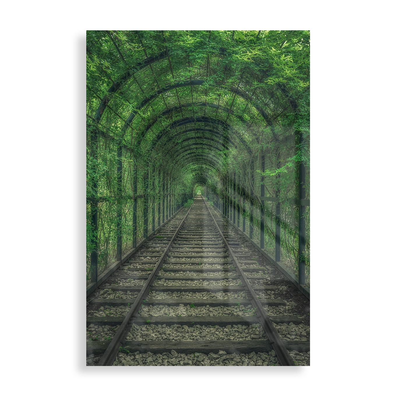 Green Tunnel