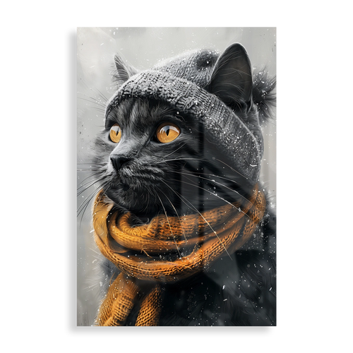 Cold cat