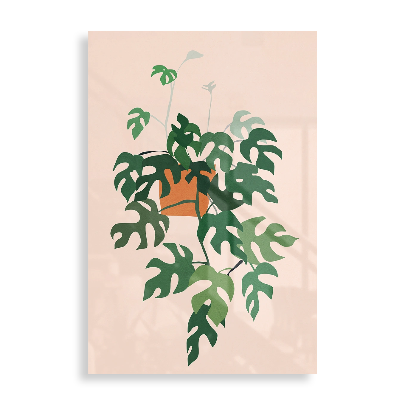 Pretty plant
