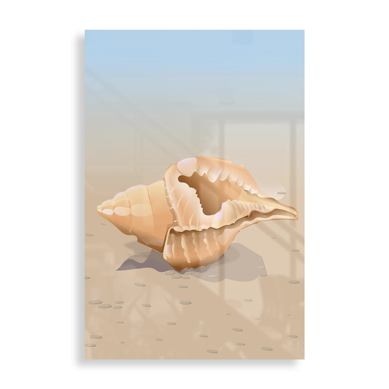 Simple seashell