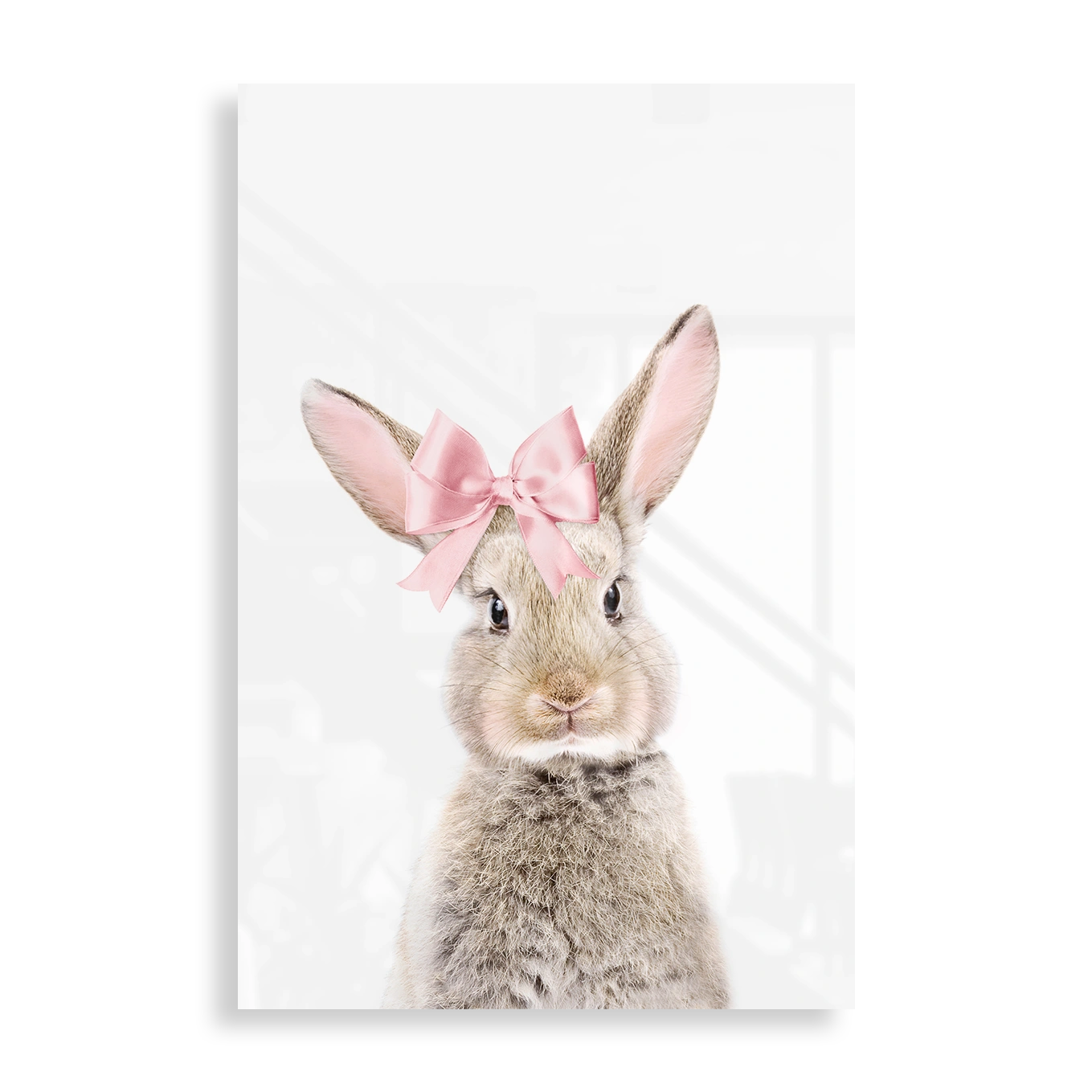 Pretty bunny