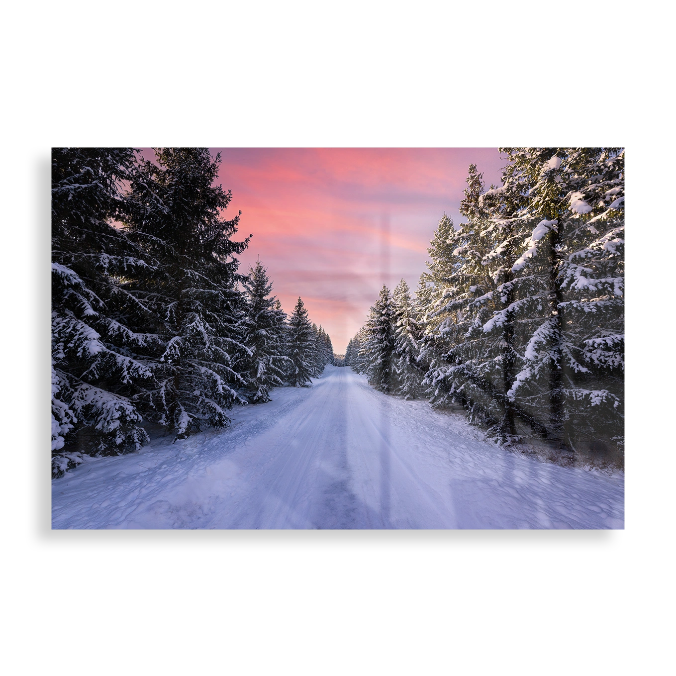 Winter wonderland
