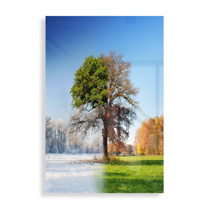 The four seasons tree