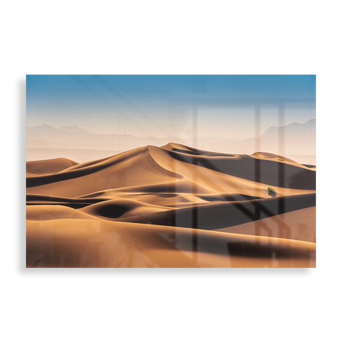 Desert landscape
