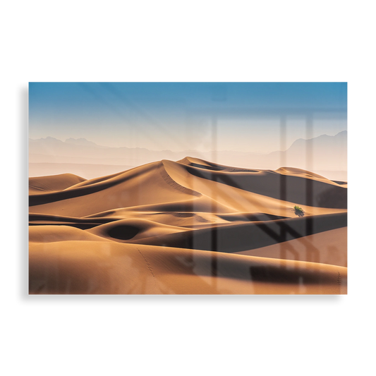 Desert landscape