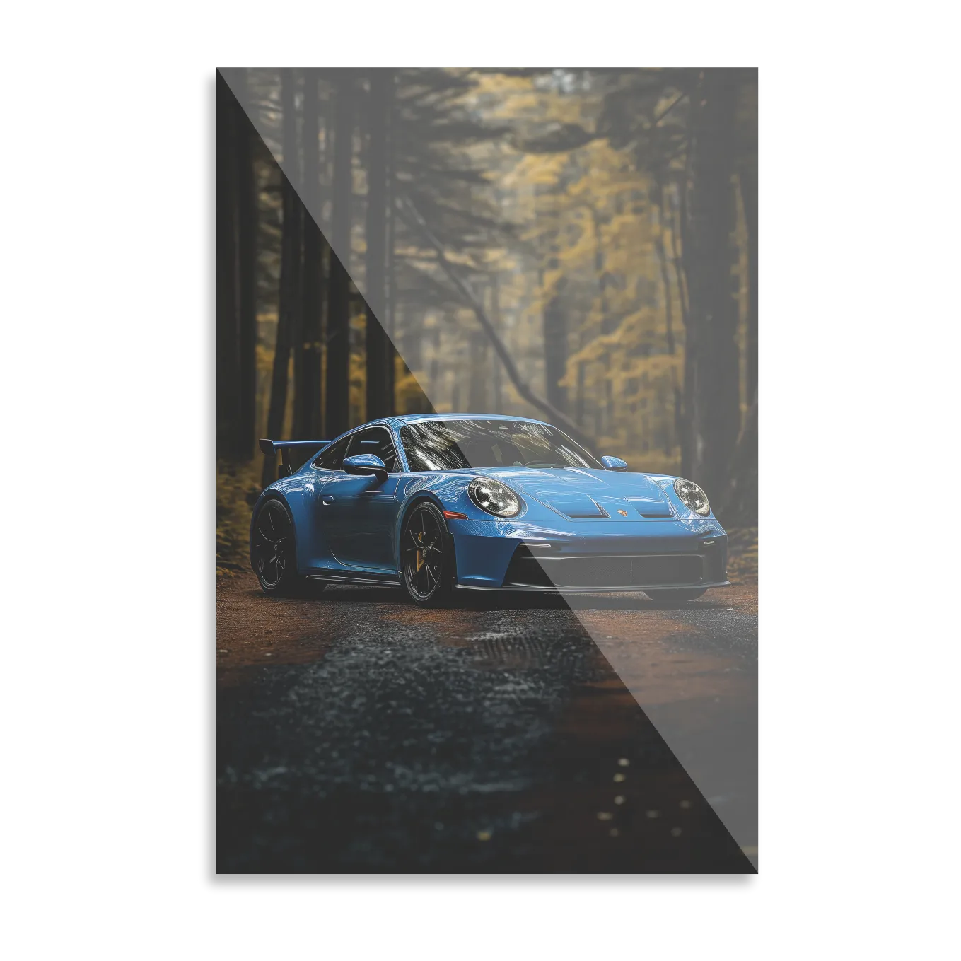 Blå Porsche i skoven