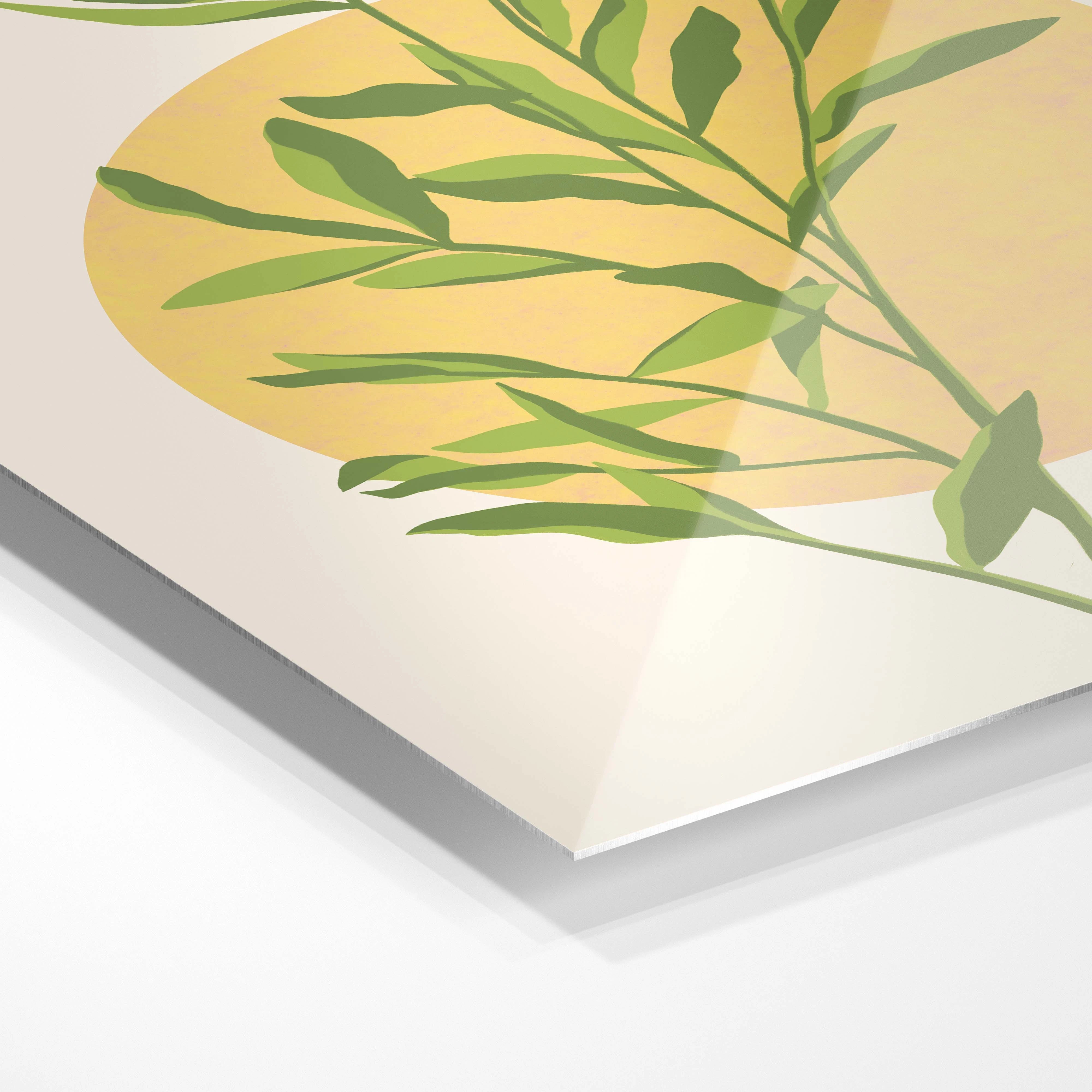 Sunny leaf