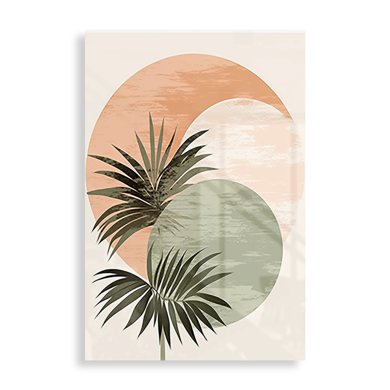Sunset Ferns