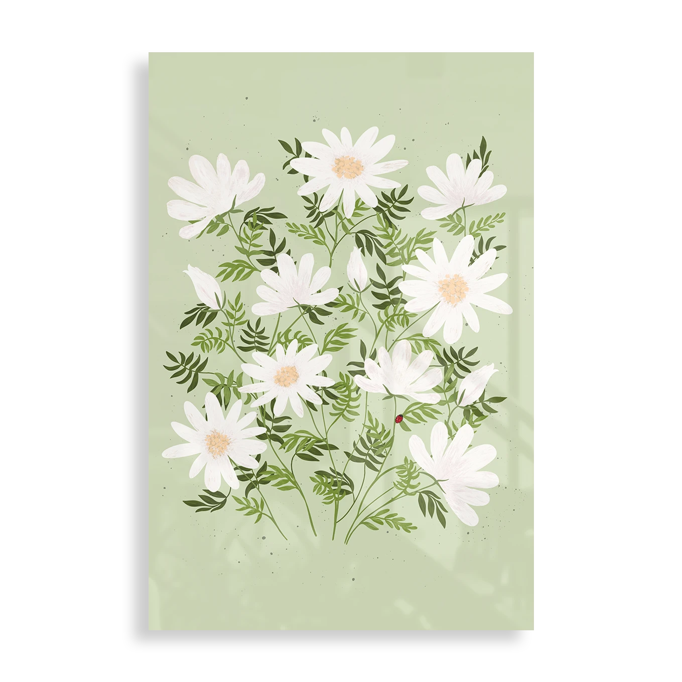 Hvide blomster
