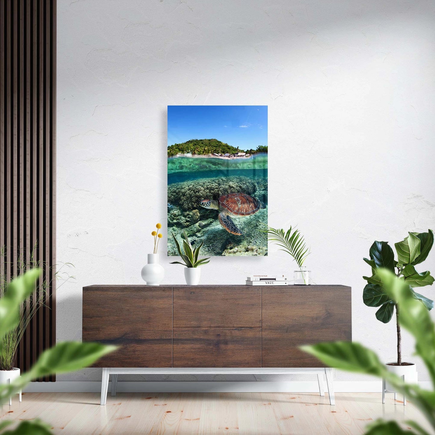 Skildpadde under vand