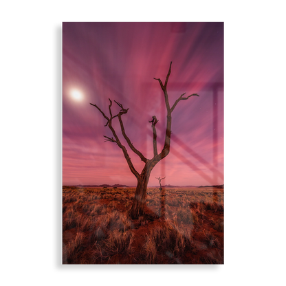 Farverigt ørkenlandskab