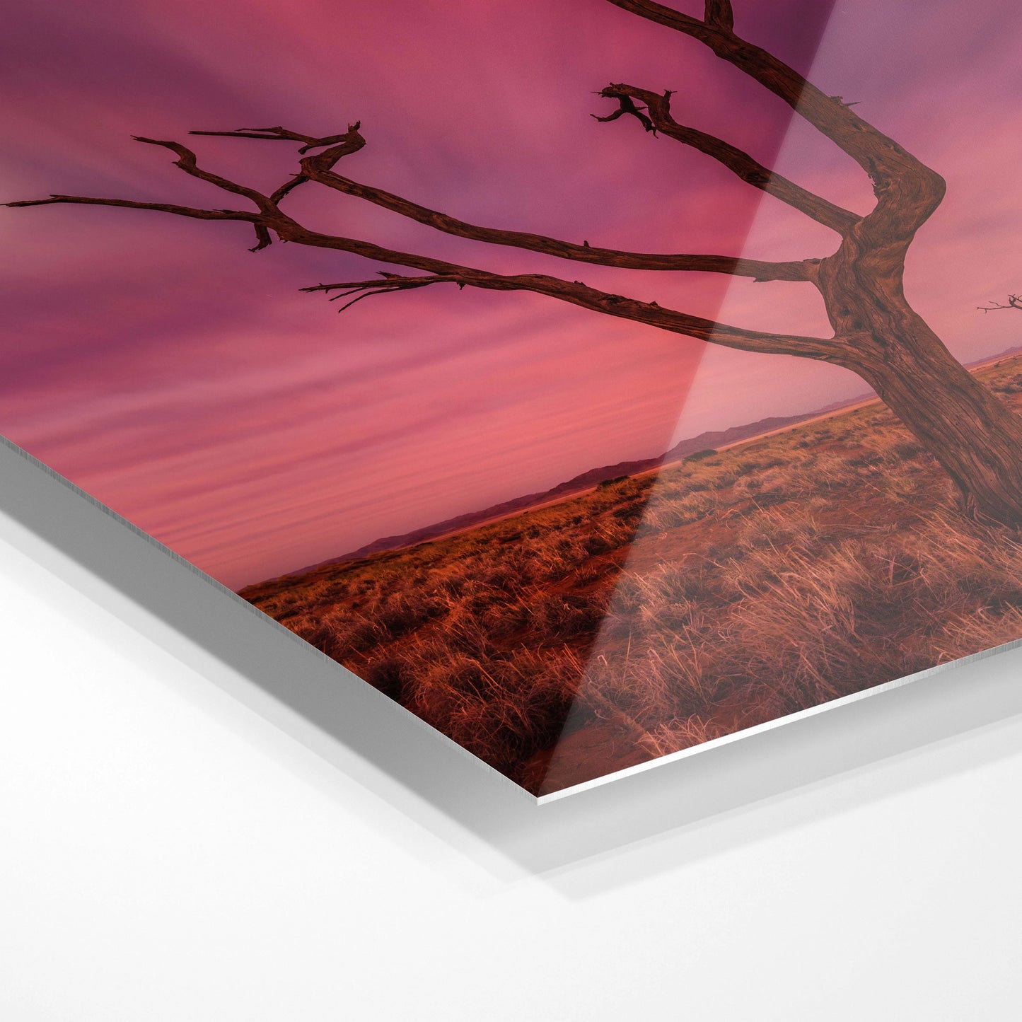 Farverigt ørkenlandskab