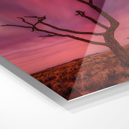 Farverigt ørkenlandskab