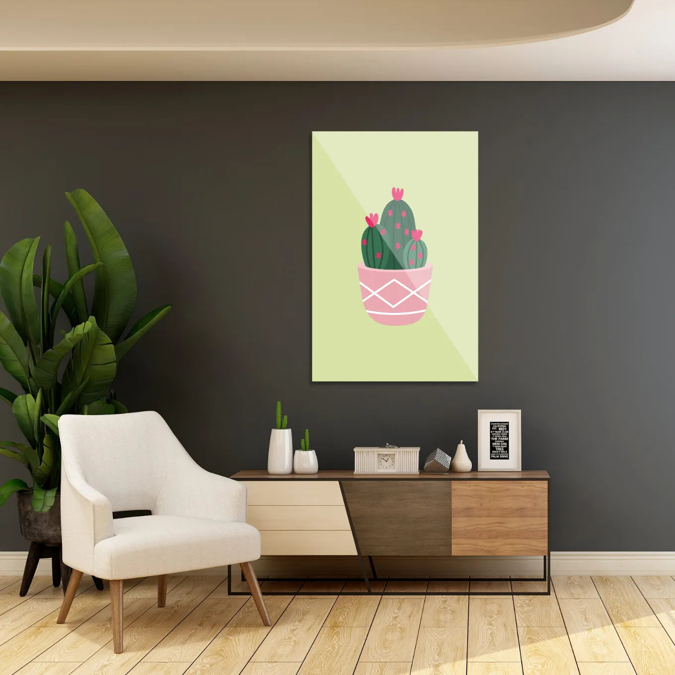 Kaktusplante i potte 1