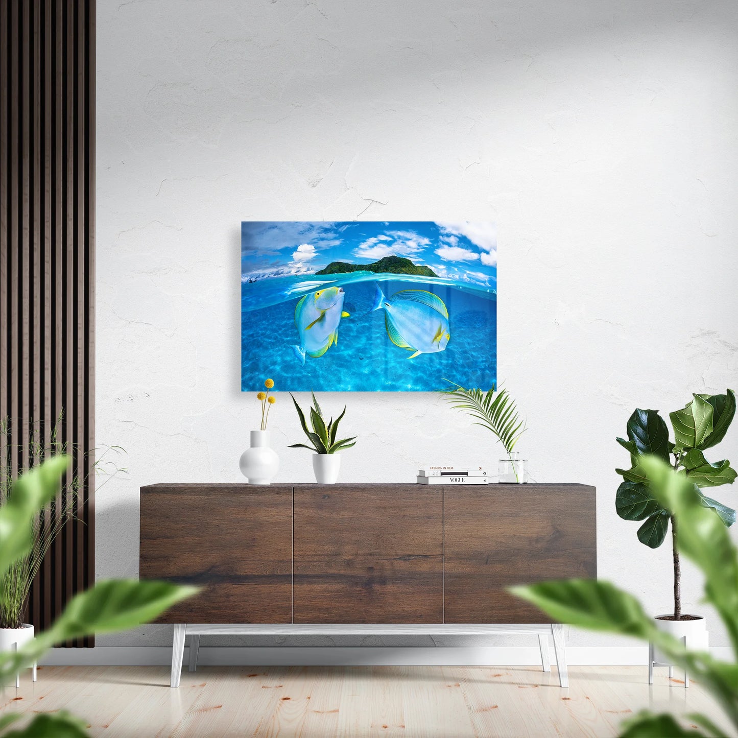 Surgeonfish under water