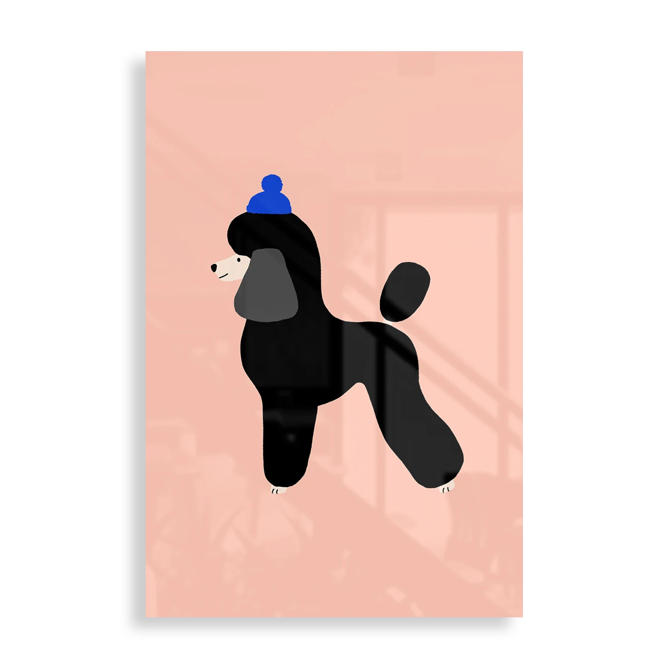 Cute Poodle