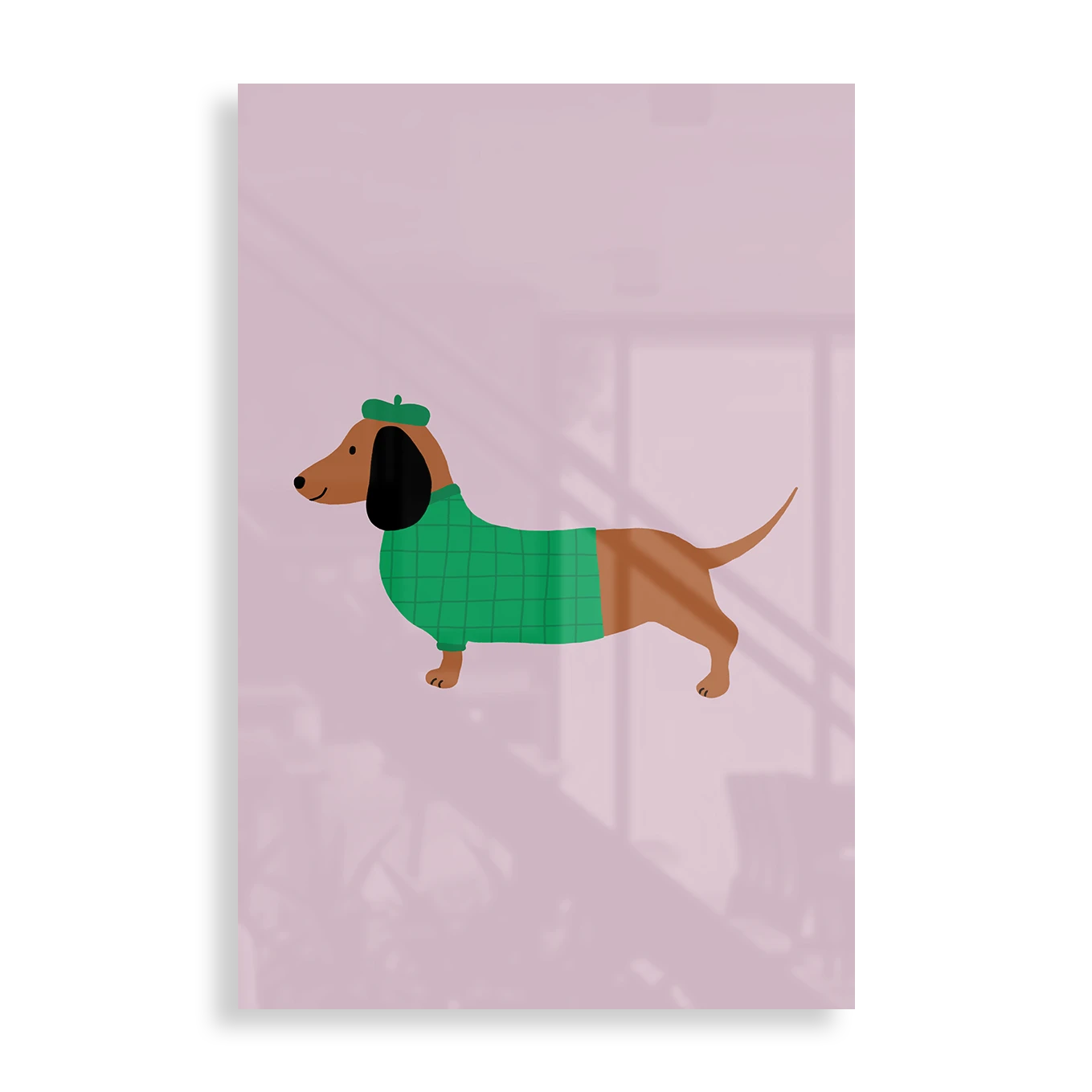 Dressed up Dachshund